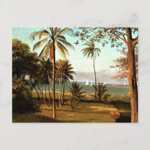Bierstadt - Floridaschildering, fijnkuntschilderij Briefkaart