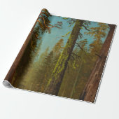 Bierstadt Giant Sequoia Forest Painting Cadeaupapier (Uitgerold)