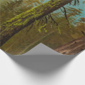 Bierstadt Giant Sequoia Forest Painting Cadeaupapier (Hoek)