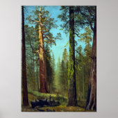 Bierstadt - Grizzly Giant Sequoia Mariposa Grove Poster (Voorkant)