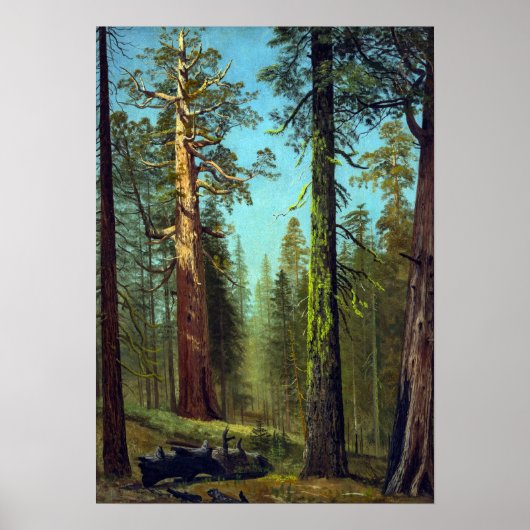 Bierstadt - Grizzly Giant Sequoia Mariposa Grove Poster (Voorkant)