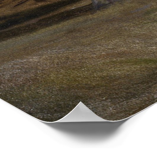 Bierstadt - Indian Encampment Evening Poster (Hoek)