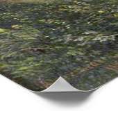 Bierstadt Puget Sound Pacific Coast Painting Poster (Hoek)