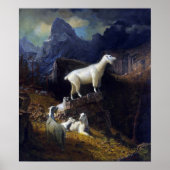 Bierstadt - Rocky Mountain Goats Poster (Voorkant)
