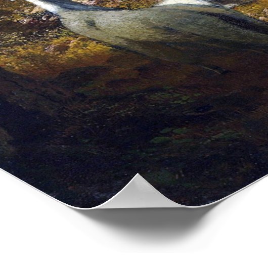 Bierstadt - Rocky Mountain Goats Poster (Hoek)