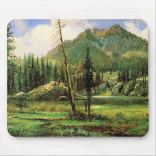 Bierstadt - Sierra Nevada Mountains, Muismat