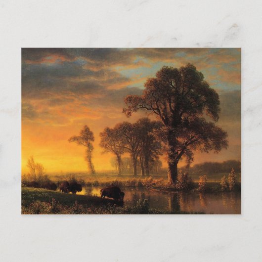 Bierstadt - West-Kansas Briefkaart (Voorkant)