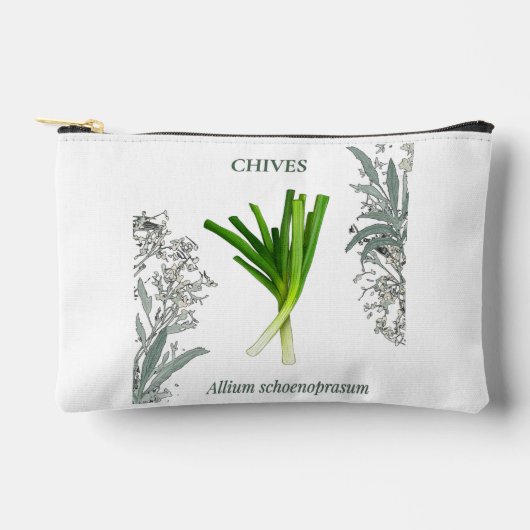 Bieslook — Allium schoenoprasum Etui (Voorkant)