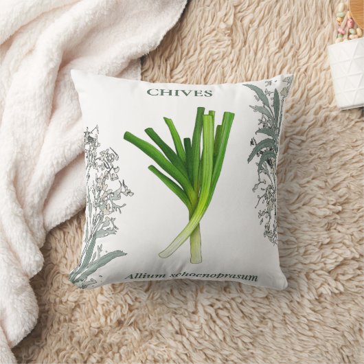 Bieslook — Allium schoenoprasum Kussen (Deken)