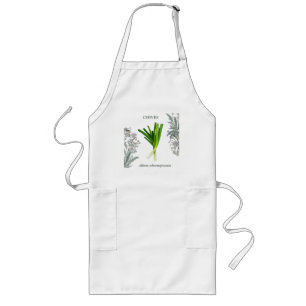 Bieslook — Allium schoenoprasum Lang Schort