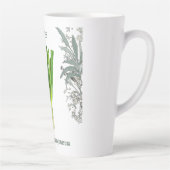 Bieslook — Allium schoenoprasum Latte Mok (Rechts)