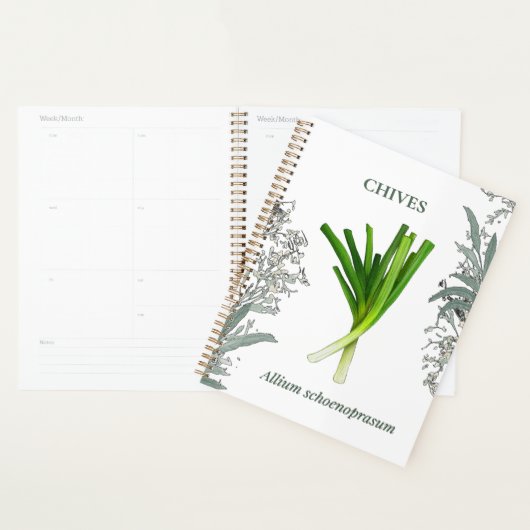 Bieslook — Allium schoenoprasum Planner (Display)