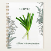 Bieslook — Allium schoenoprasum Planner (Voorkant)