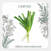 Bieslook — Allium schoenoprasum Vierkante Sticker (Voorkant)
