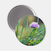 Bieslook blauw op gras magneet (Voorkant / Achterkant)