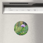 Bieslook blauw op gras magneet (Insitu (Vaatwasser))