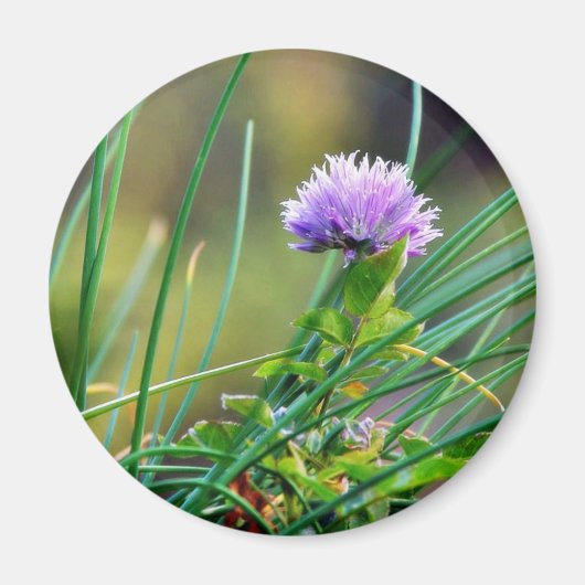 Bieslook blauw op gras magneet (Voorkant)