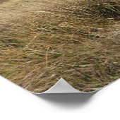 Bieszczady-gebergte Poster (Hoek)