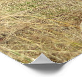 Bieszczady herfst poster (Hoek)