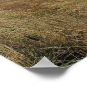 Bieszczady-panorama Poster (Hoek)