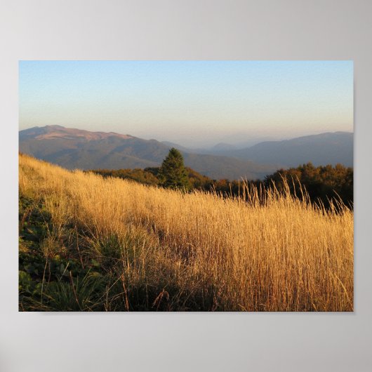 Bieszczady Połonina Caryńska Poster (Voorkant)
