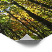 Bieszczady-poster Poster (Hoek)