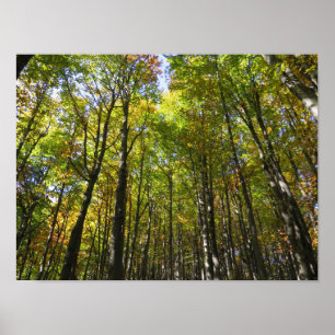 Bieszczady-poster Poster