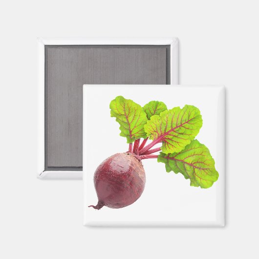 biet magneet (Voorkant / Achterkant)