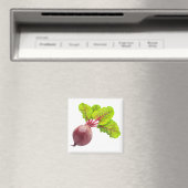 biet magneet (Insitu (Vaatwasser))