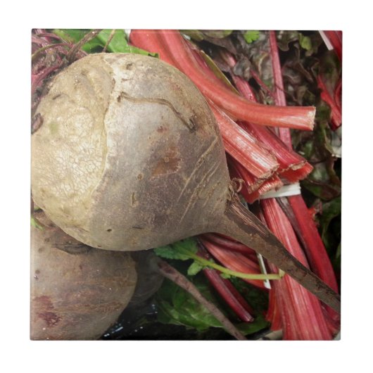 biet tegeltje (Voorkant)