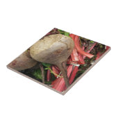 biet tegeltje (Zijkant)