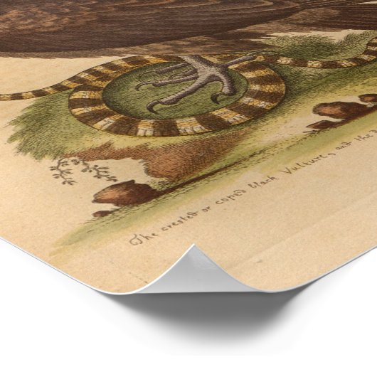 bietenteeltslang afdrukken poster (Hoek)