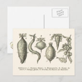 bietentypen briefkaart (Voorkant / Achterkant)