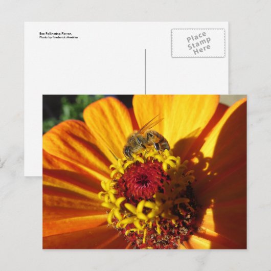 Bietenwerende ventilator briefkaart (Voorkant / Achterkant)