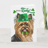 Biewer Terriër Hond Lucky St Patrick's Day Feestdagen Kaart (Voorkant)