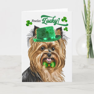 Biewer Terriër Hond Lucky St Patrick's Day Feestdagen Kaart