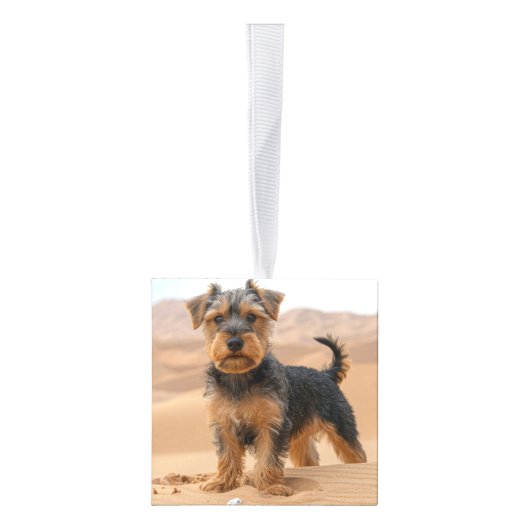 Biewer Terrier Hond Twee Foto Kerstvakantie Decoratie (Rechts)