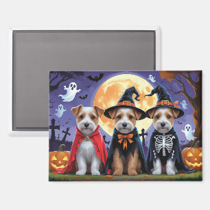 Biewer Terrier Honden Pompoen Halloween Grappig Magneet