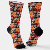 Biewer Terrier Met Hartrozen Valentijnsdag Sokken (Gebogen)