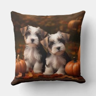 Biewer Terrier Pup Autumn Delight Pumpkin Kussen