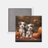 Biewer Terrier Pup Autumn Delight Pumpkin Magneet (Voorkant / Achterkant)