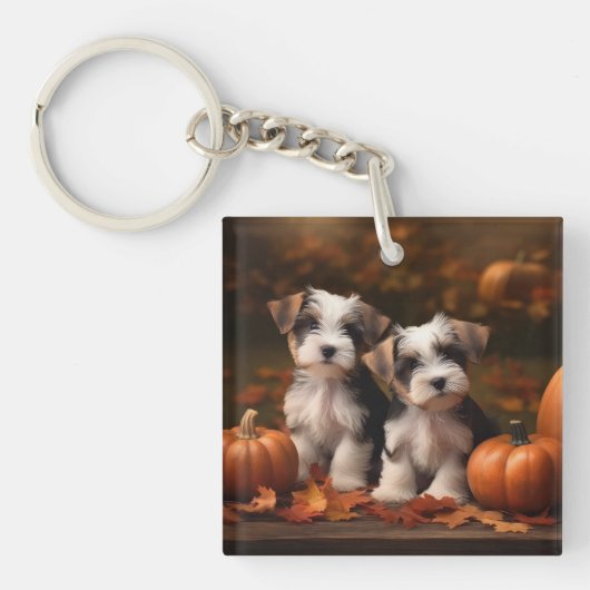 Biewer Terrier Pup Autumn Delight Pumpkin Sleutelhanger (Voorkant)