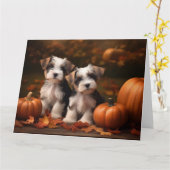 Biewer Terrier Puppy Herfst Delight Pompoen Kaart (Gele Bloem)