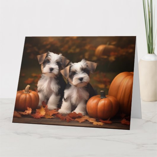 Biewer Terrier Puppy Herfst Delight Pompoen Kaart (Voorkant)
