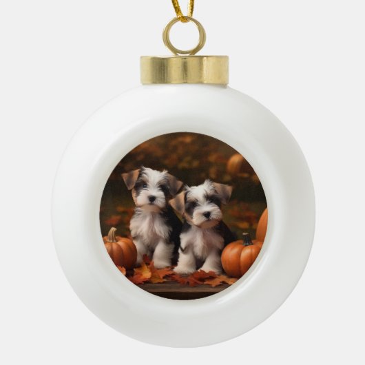 Biewer Terrier Puppy Herfst Delight Pompoen Keramische Bal Ornament (Voorkant)
