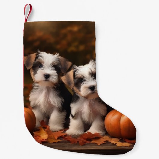 Biewer Terrier Puppy Herfst Delight Pompoen Kleine Kerstsok (Voorkant)