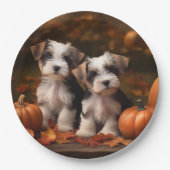 Biewer Terrier Puppy Herfst Delight Pompoen Papieren Bordje (Voorkant)