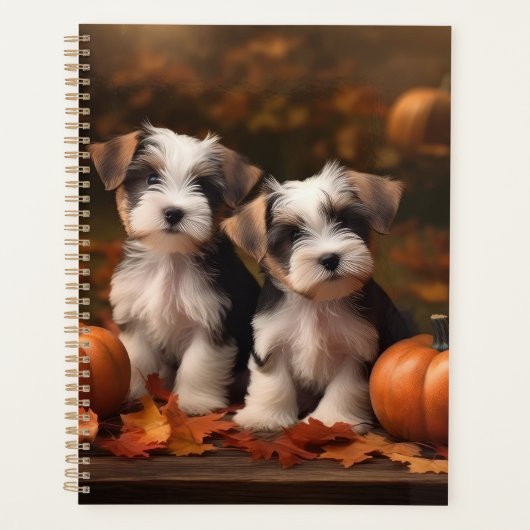 Biewer Terrier Puppy Herfst Delight Pompoen Planner (Voorkant)