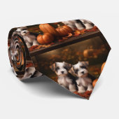 Biewer Terrier Puppy Herfst Delight Pompoen Stropdas (Opgerold)