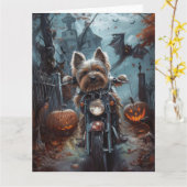 Biewer Terrier Rijden Motorfiets Halloween Eng Kaart (Gele Bloem)